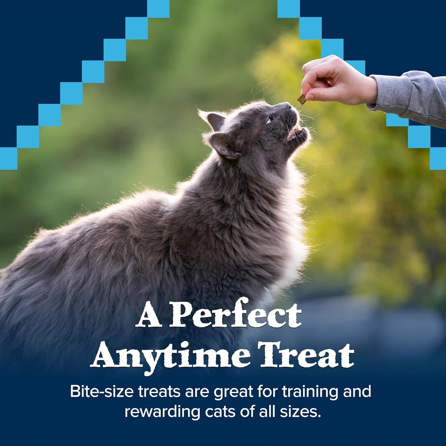 Wilderness Crunchy Cat Treats, Made with Natural Ingredients, Tasty Salmon Flavor, 2-Oz Bag