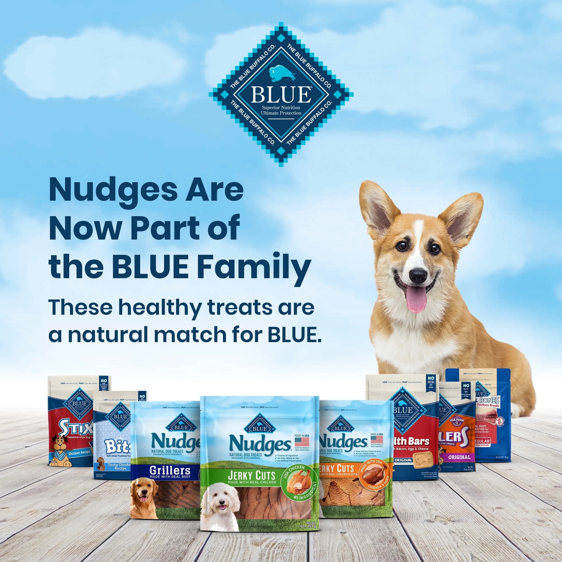 Blue Buffalo  Jerky Cuts Natural Dog Treats, Chicken and Duck, 16Oz Bag