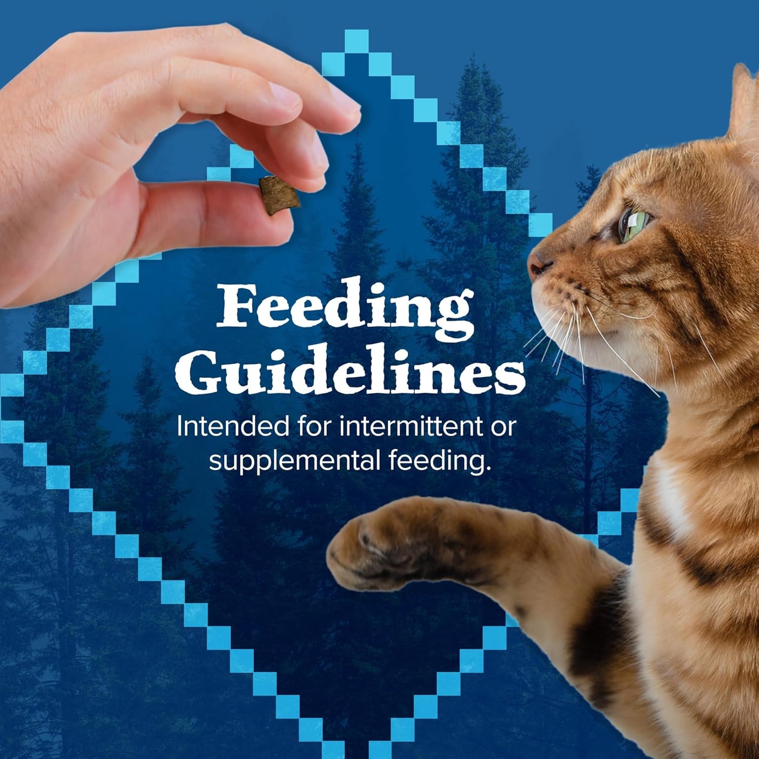 Wilderness Crunchy Cat Treats, Made with Natural Ingredients, Tasty Salmon Flavor, 2-Oz Bag