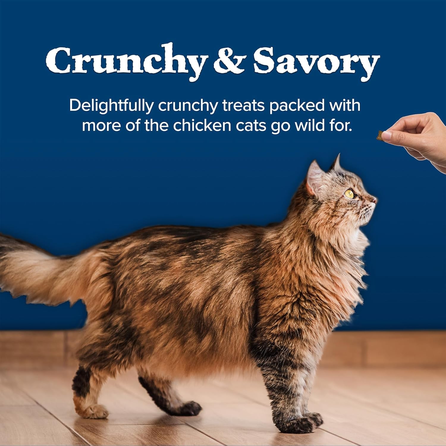 Wilderness Crunchy Cat Treats, Grain-Free Treats for Cats Made with Natural Ingredients, Great for Training, Tasty Chicken Flavor, 12-Oz. Tub