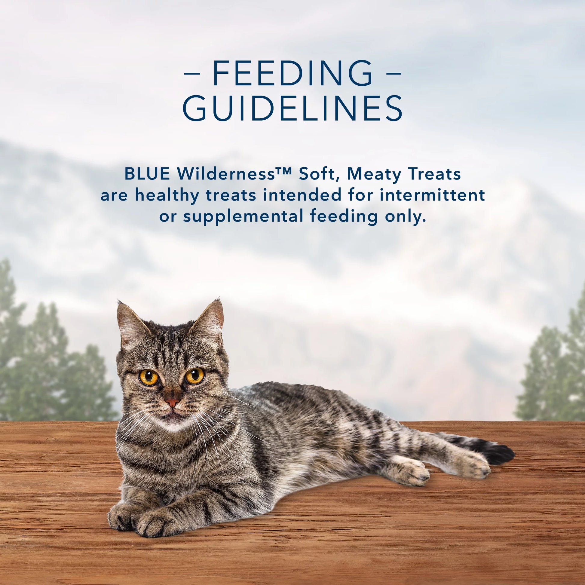 Wilderness Chicken & Salmon Flavor Dry Soft Treats for Cats, Grain-Free, 2 Oz. Bag