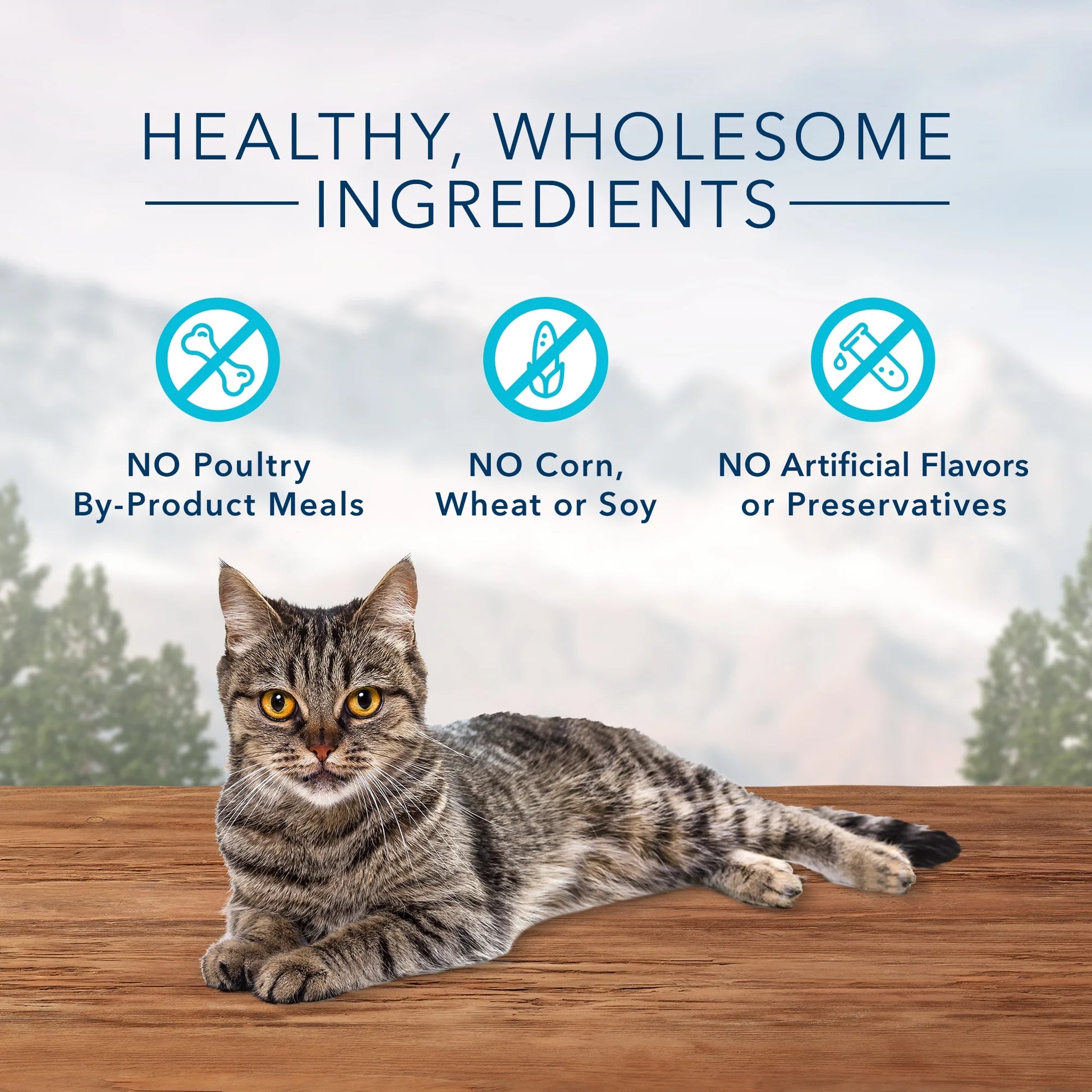 Wilderness Chicken & Salmon Flavor Dry Soft Treats for Cats, Grain-Free, 2 Oz. Bag