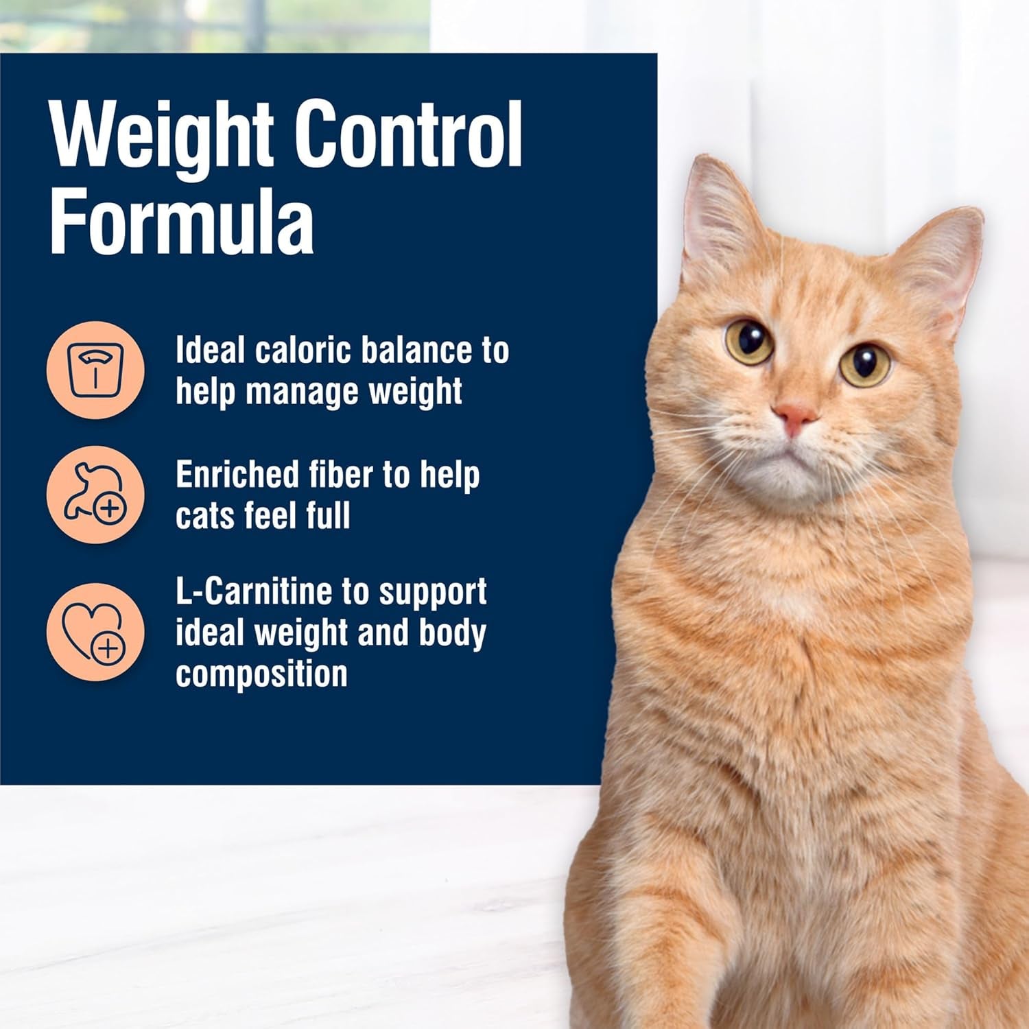 True Solutions Healthy Weight Natural Weight Control Adult Dry Cat Food, Chicken 11-Lb Bag