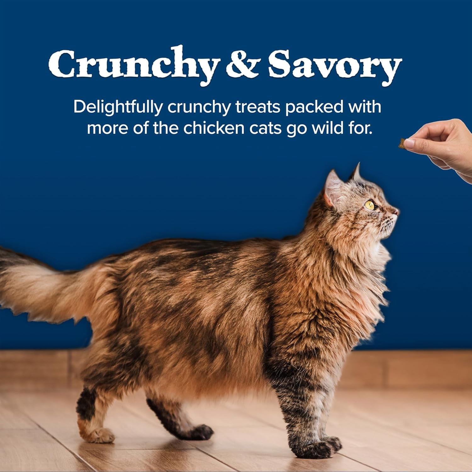Wilderness Crunchy Cat Treats, Made with Natural Ingredients, Tasty Salmon Flavor, 2-Oz Bag