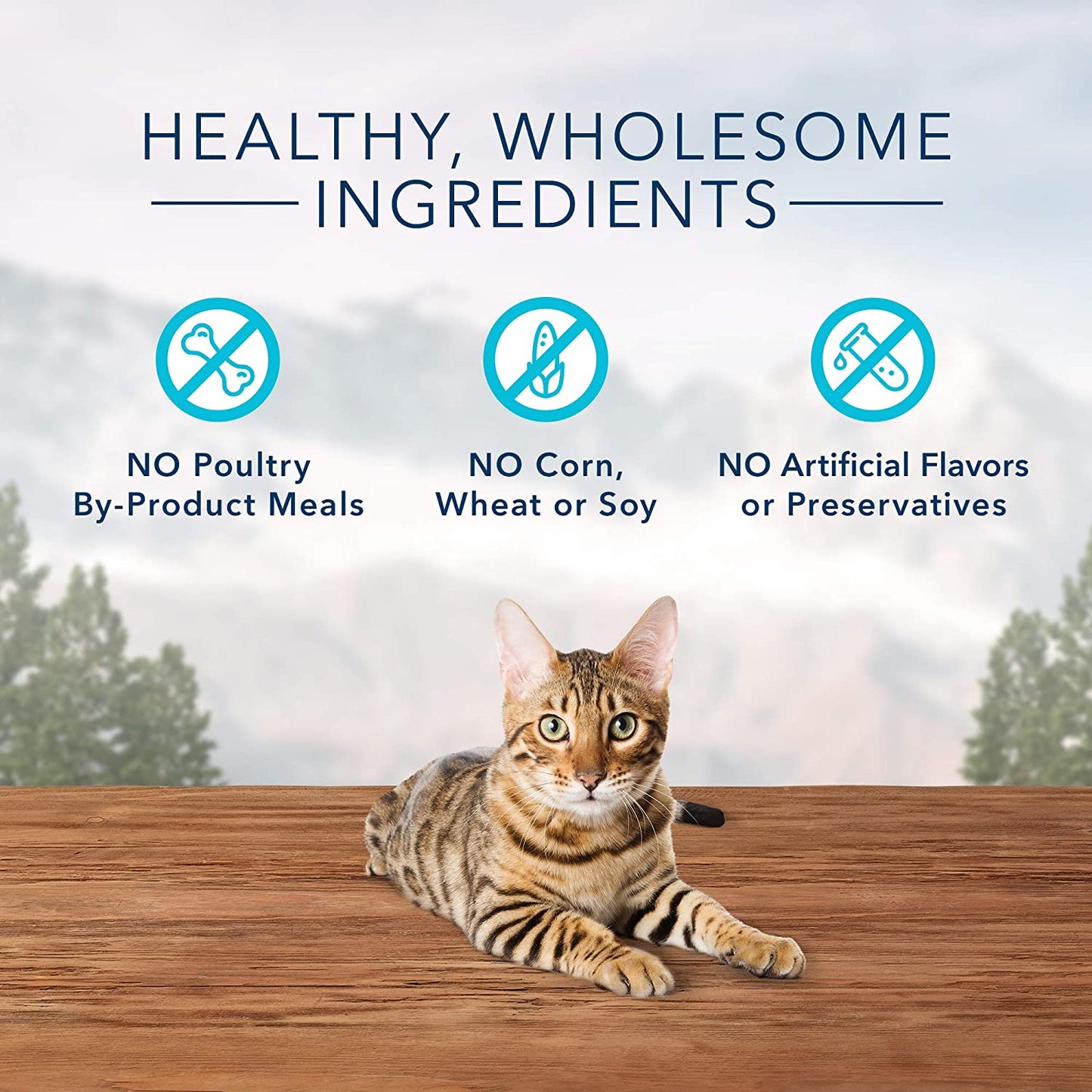 Wilderness High Protein Crunchy Cat Treats, Made with Natural Ingredients, Tasty Trout, 2-Oz Bag